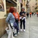 Preparatory Visit to Valencia for November 2025 Mobility Group – 16 May 2025 © Mobility4LLL